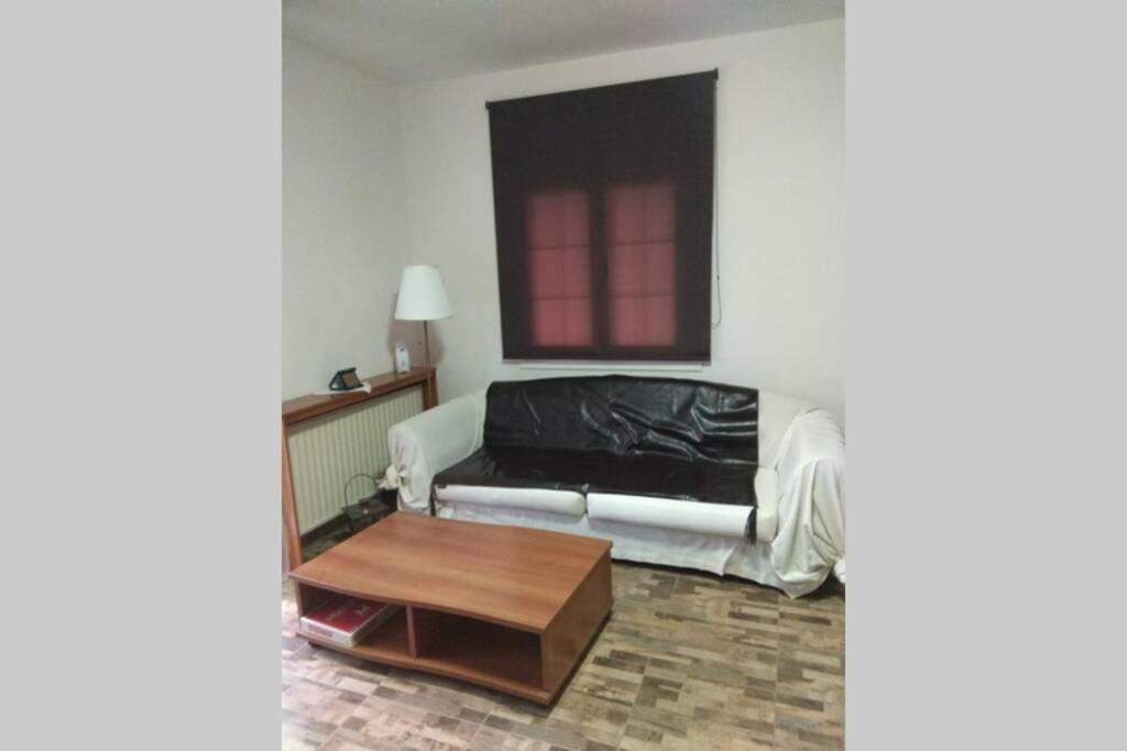 Ferienwohnung The Stone House Kozani Exterior foto