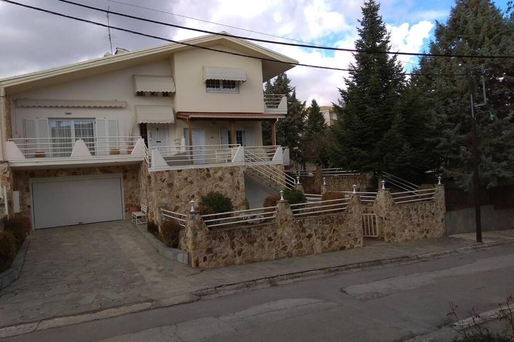 Ferienwohnung The Stone House Kozani Exterior foto