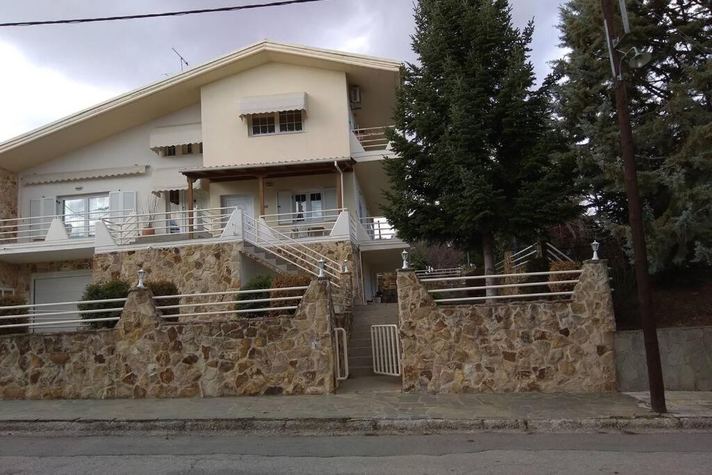 Ferienwohnung The Stone House Kozani Exterior foto